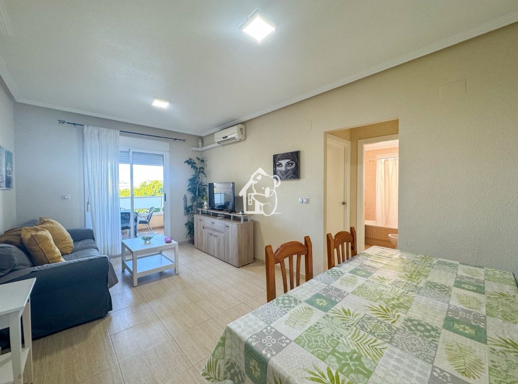 Location - Appartement - Torrevieja - Torrevieja Centro