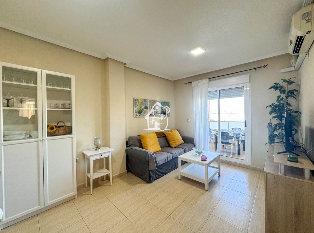 Location - Appartement - Torrevieja - Torrevieja Centro