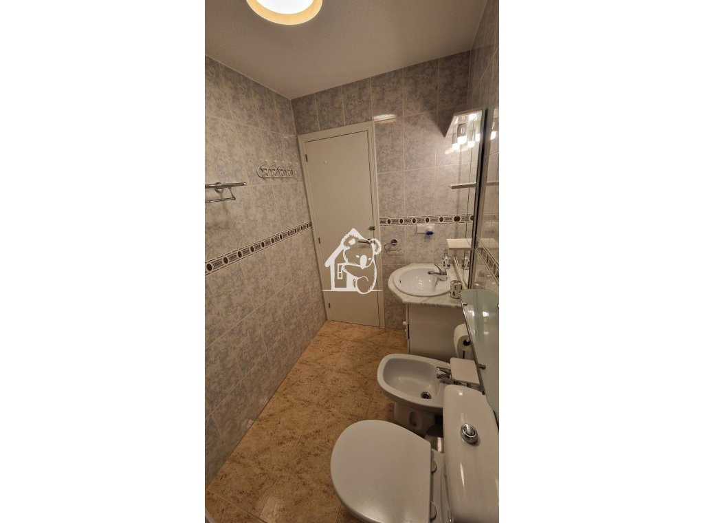 Location - Appartement - Torrevieja - Torrevieja Centro