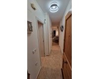 Location - Appartement - Torrevieja - Torrevieja Centro