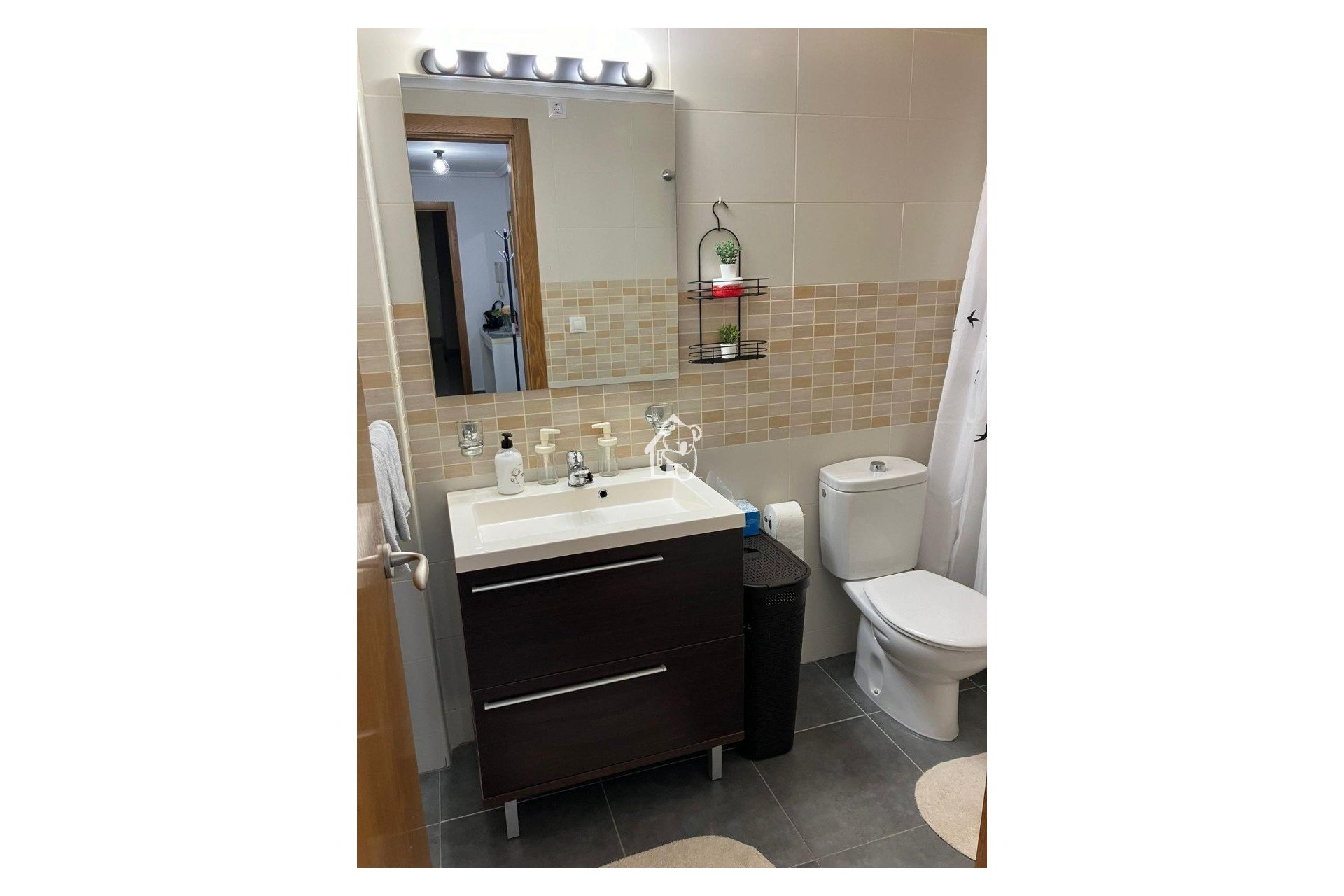 Location - Appartement - Torrevieja - Torrevieja Centro