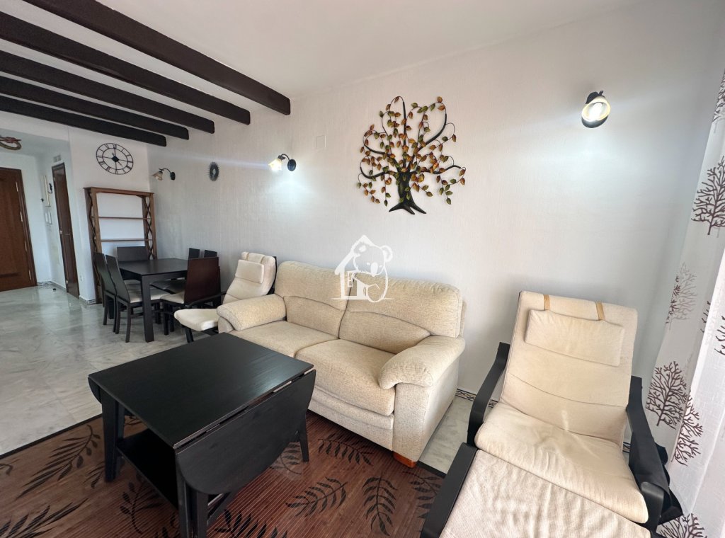 Location - Appartement - Torrevieja - Torrevieja Centro