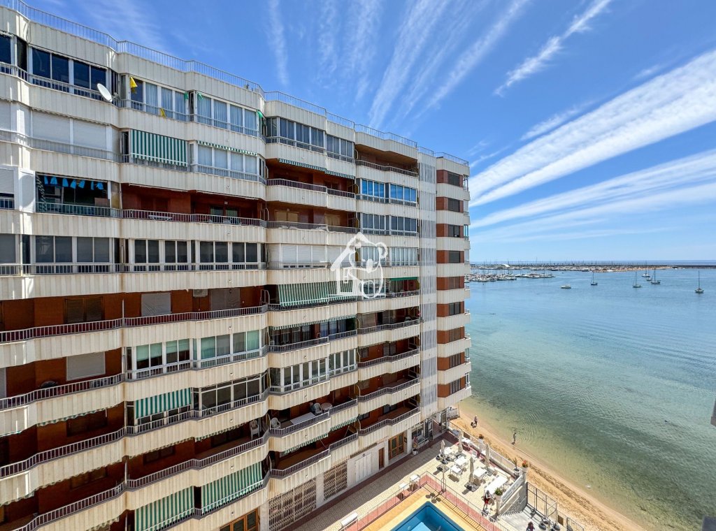 Location - Appartement - Torrevieja - Torrevieja Centro