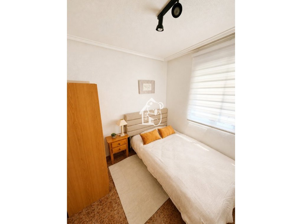 Location - Appartement - Torrevieja - Torrevieja Centro