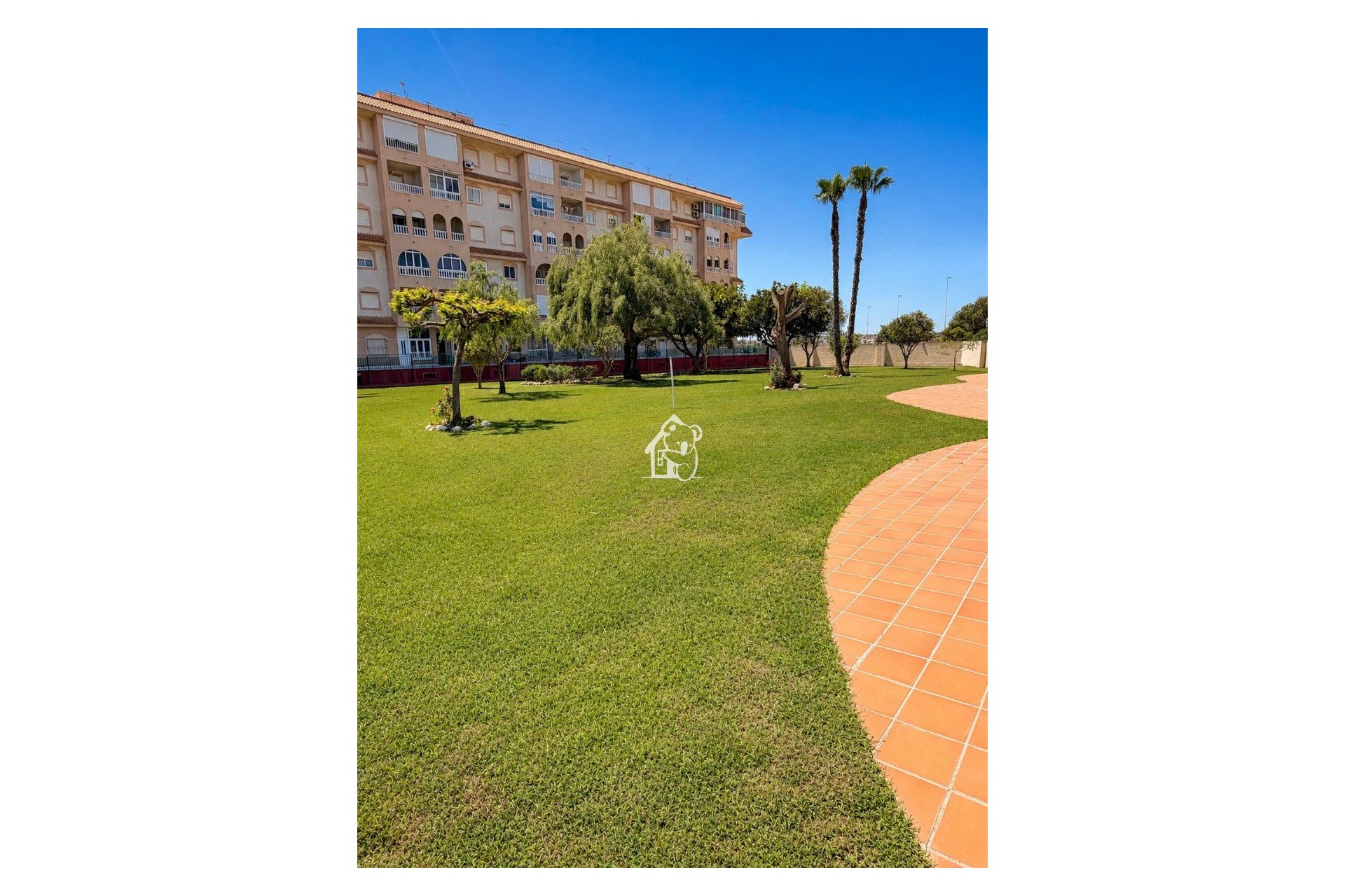 Location - Appartement - Torrevieja - Torrevieja Centro