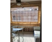 Location - Appartement - Torrevieja - Torrevieja Centro