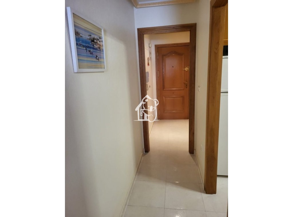 Location - Appartement - Torrevieja - Torrevieja Centro
