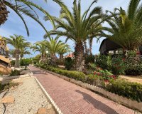 Location - Appartement - Torrevieja - Torrevieja Centro