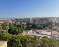 Location - Appartement - Torrevieja - Torrevieja Centro