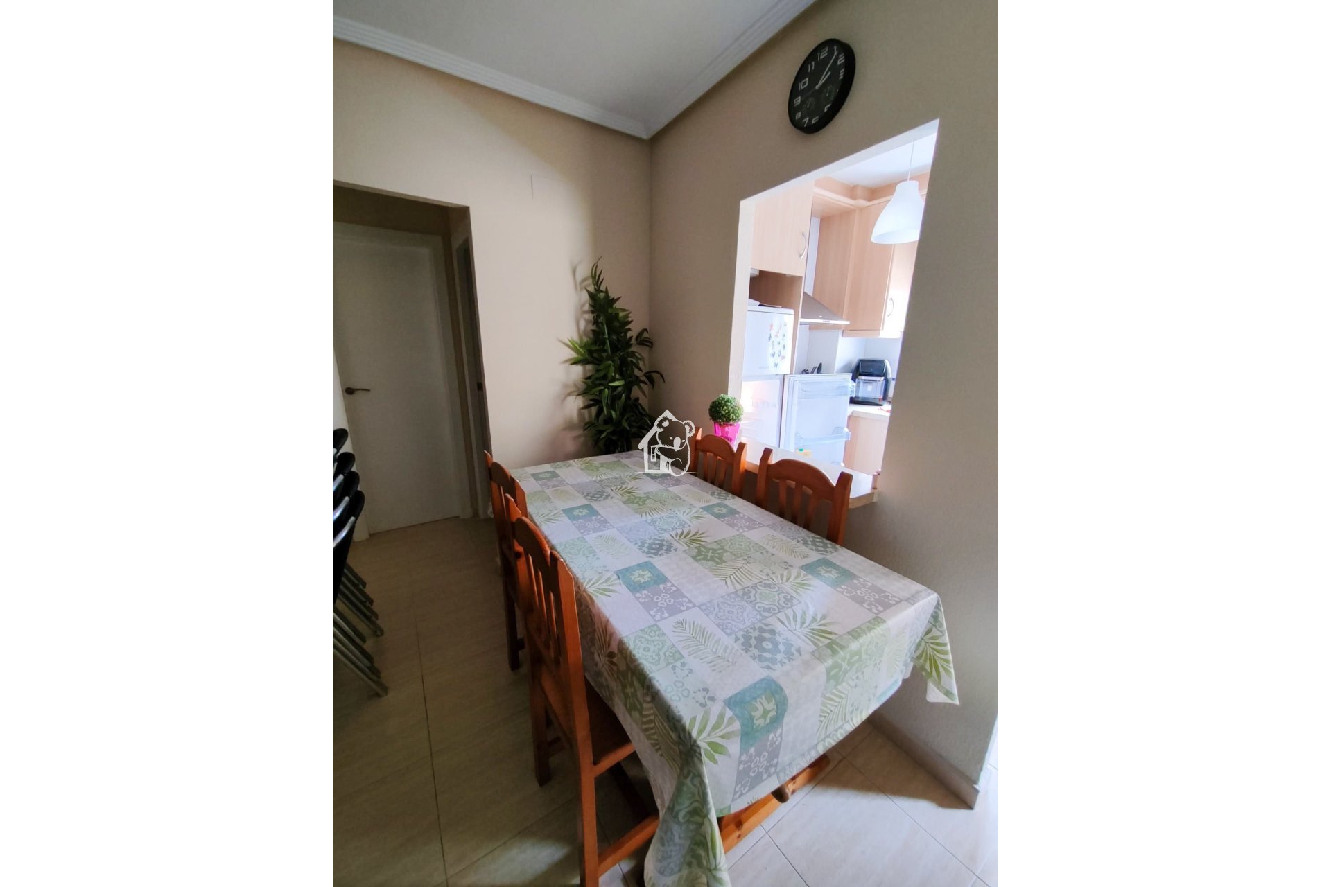 Location - Appartement - Torrevieja - Torrevieja Centro