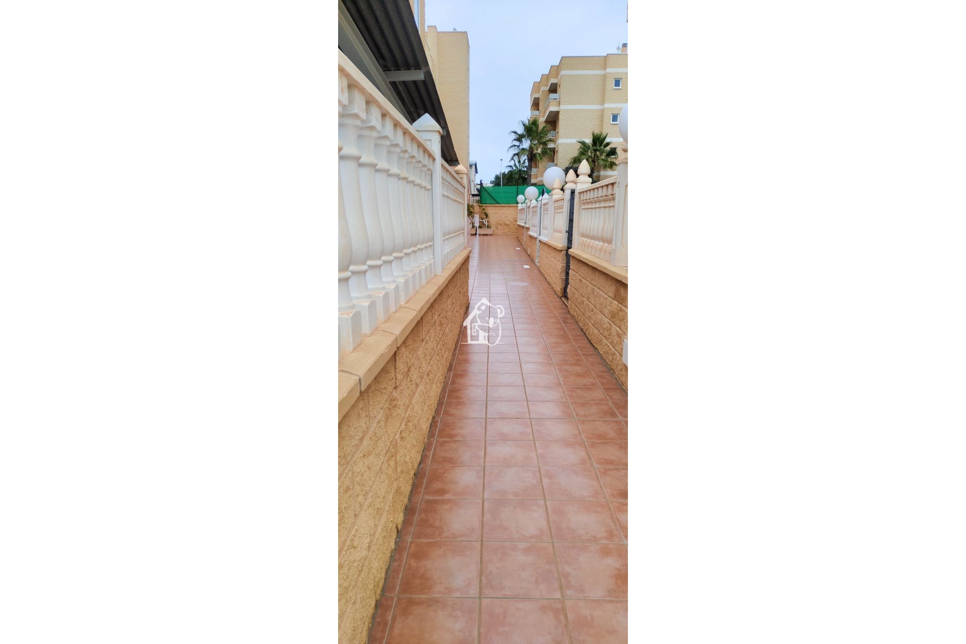 Location - Appartement - Torrevieja - Torrevieja Centro