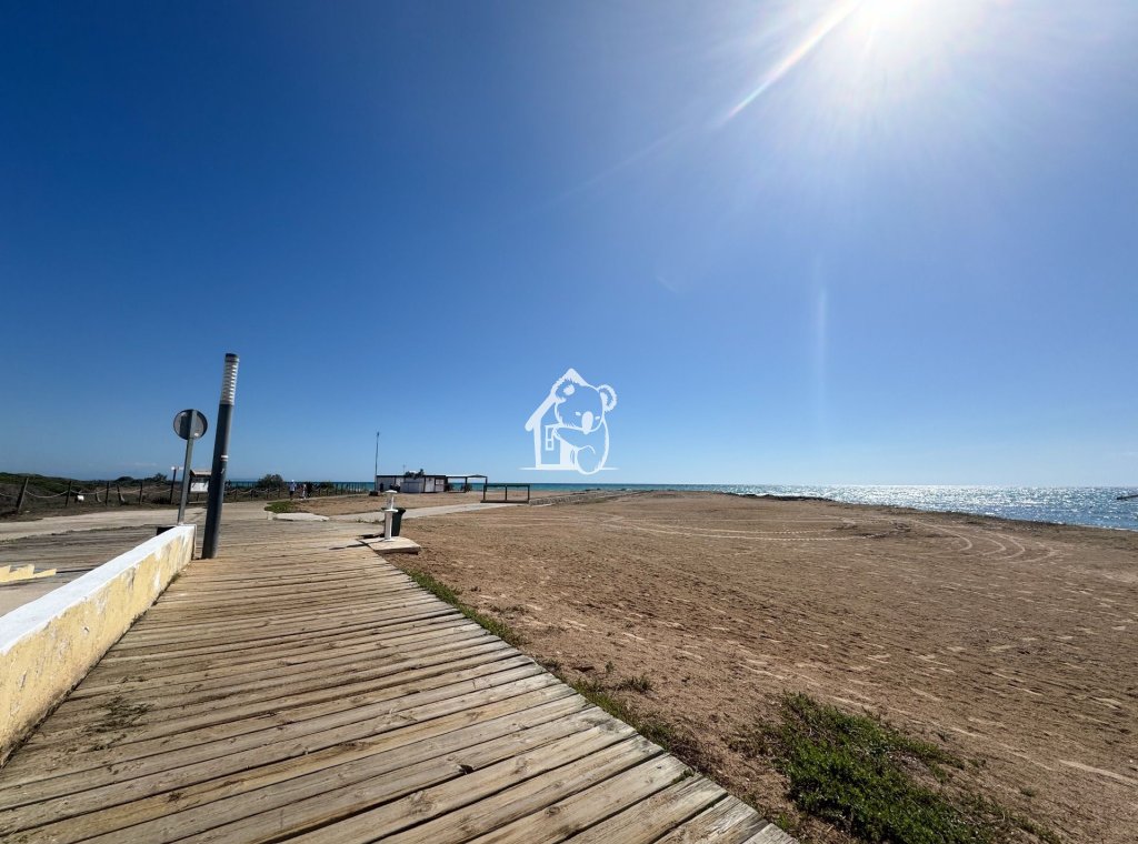 Location - Appartement - Torrevieja