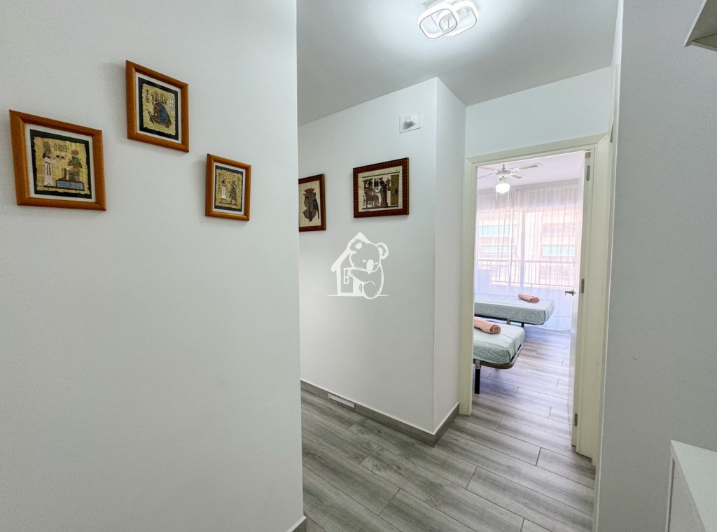 Location - Appartement - Torrevieja