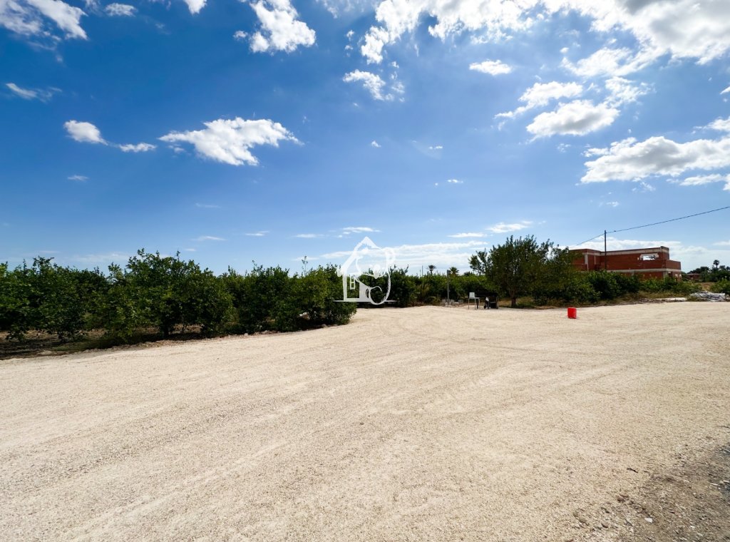 Location - Maison de ville - Elche