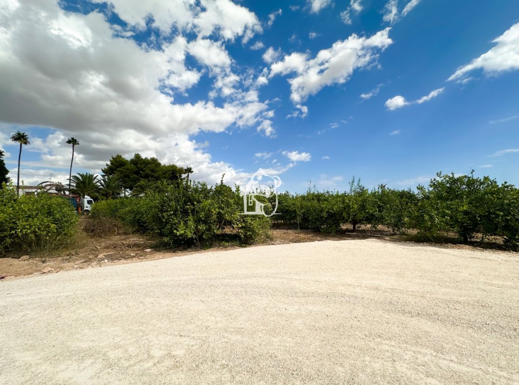 Location - Maison de ville - Elche