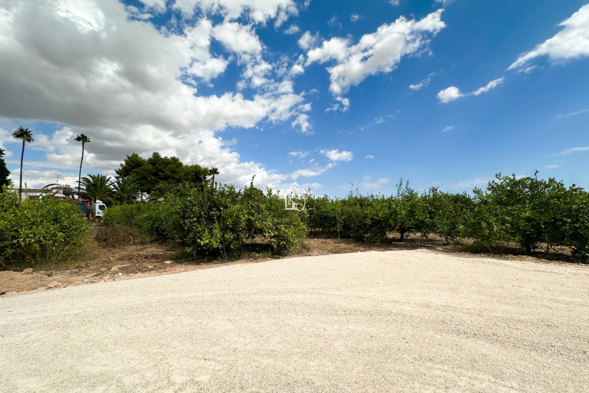 Location - Maison de ville - Elche