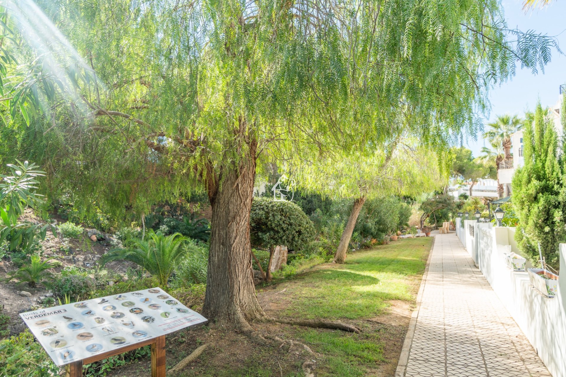 Location - Maison de ville - Orihuela Costa - Villamartín