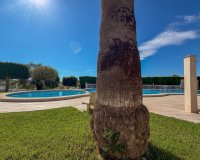 Location - Maison de ville - Orihuela Costa