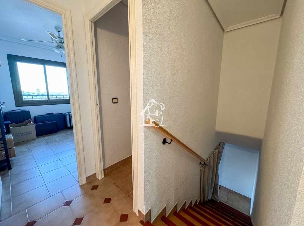 Location - Maison de ville - Torrevieja - Torrevieja Centro