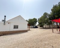 Location - Villa - Pilar de la Horadada - Pinar de Campoverde