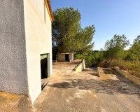 Location - Villa - Pilar de la Horadada - Pinar de Campoverde