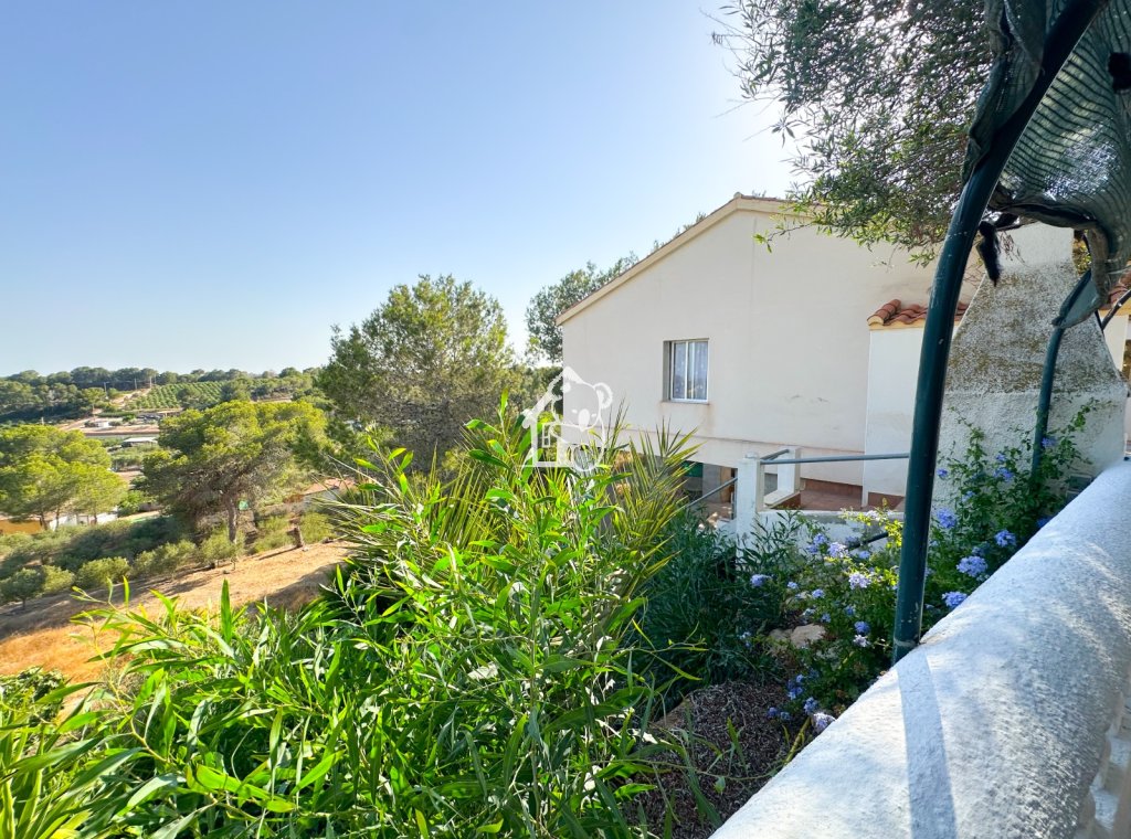 Location - Villa - Pilar de la Horadada - Pinar de Campoverde