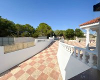 Location - Villa - Pilar de la Horadada - Pinar de Campoverde