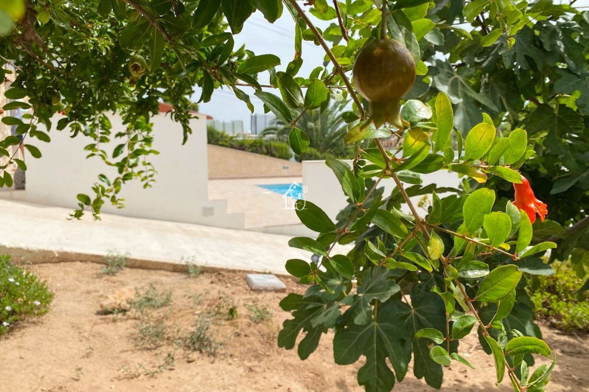 Location - Villa - Torrevieja