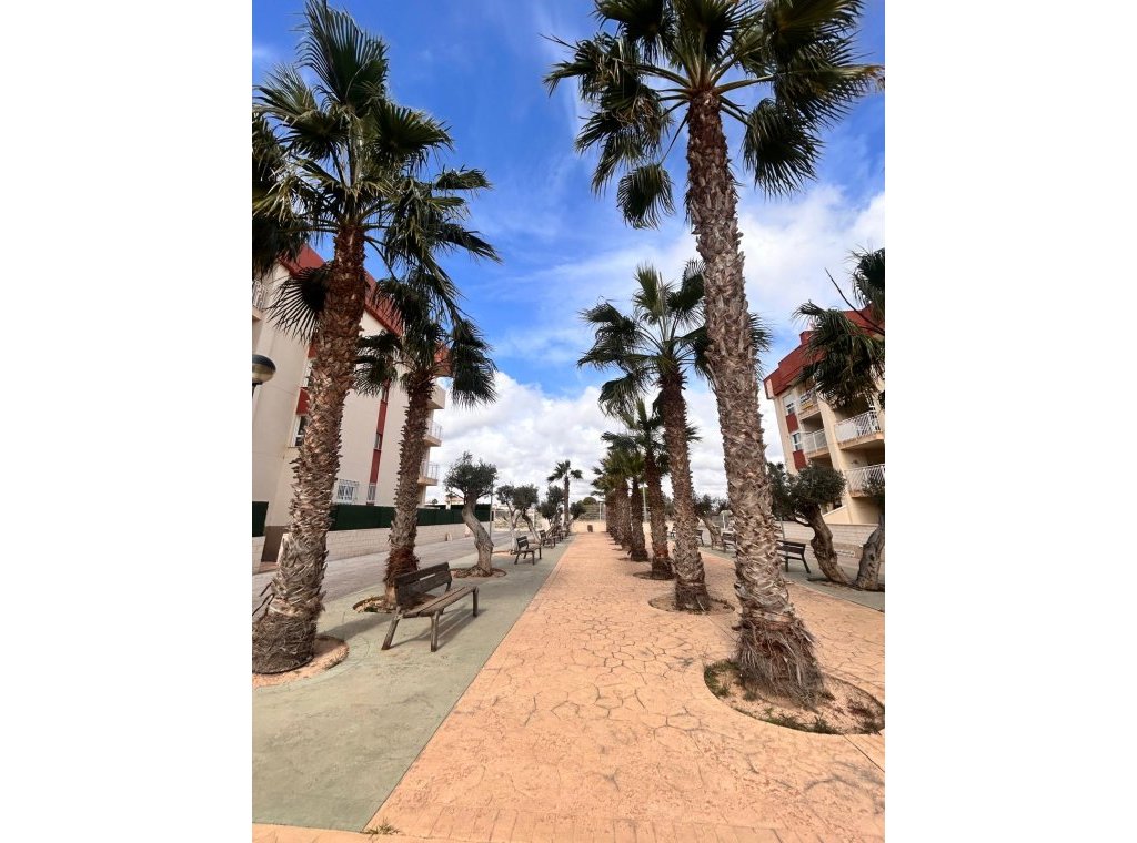 New Build - Apartment / flat - Orihuela Costa