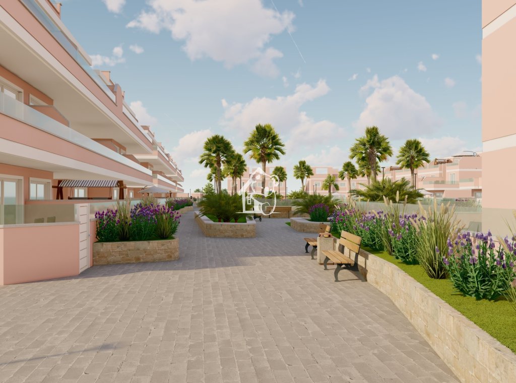 New Build - Apartment / flat - Pilar de la Horadada