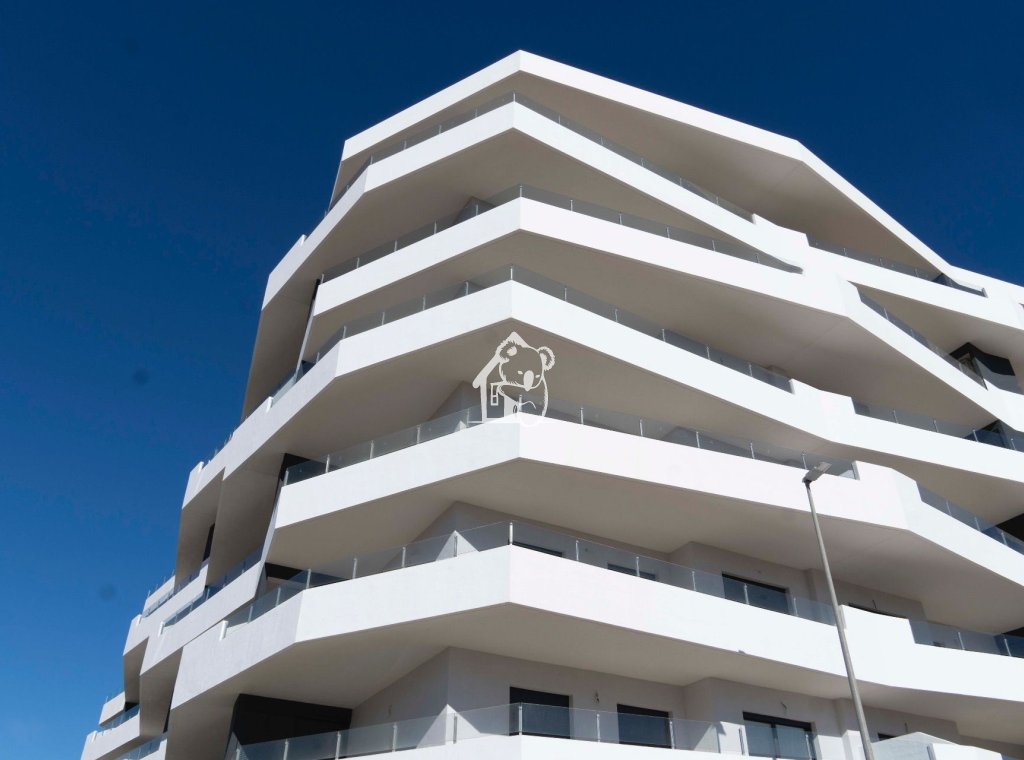 New Build - Apartment / flat - San Miguel de Salinas