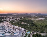 New Build - Bungalow - San Miguel de Salinas