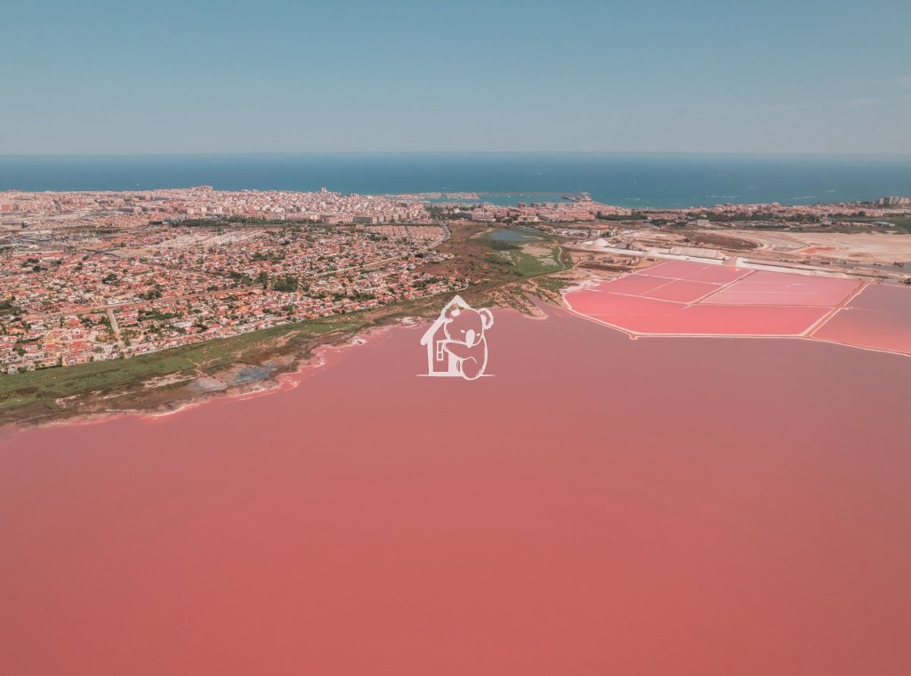 New Build - Bungalow - Torrevieja