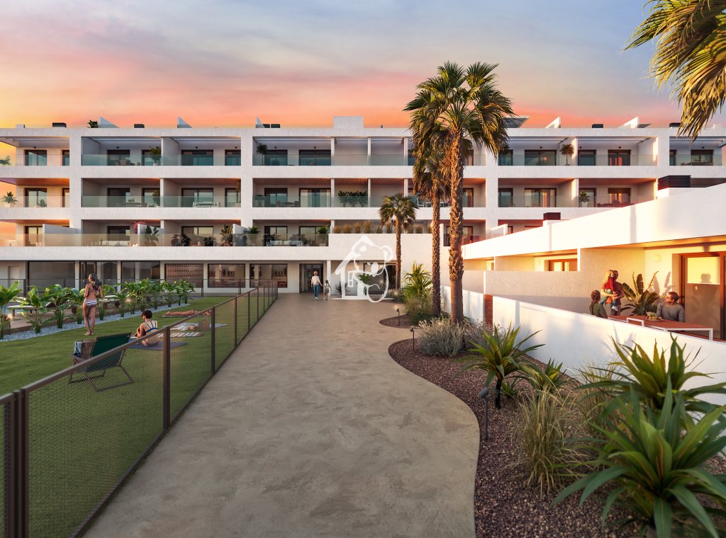 New Build - Penthouse - Torrevieja