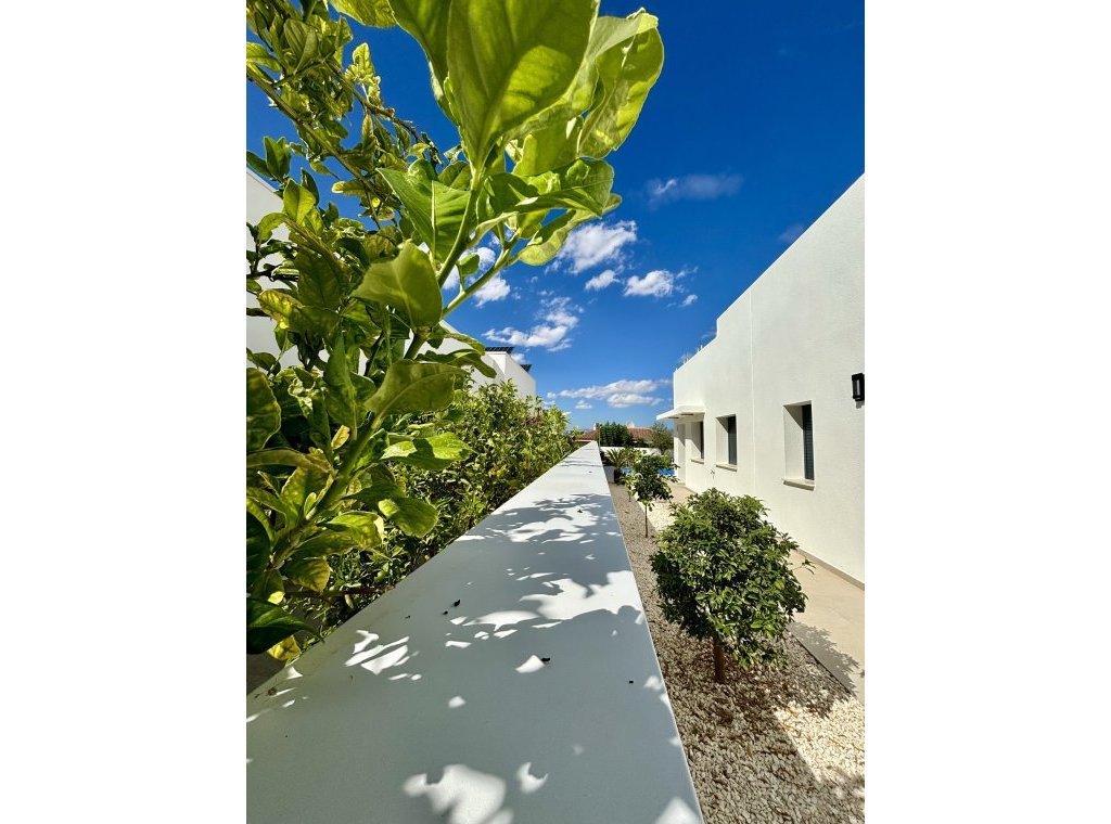 New Build - Townhouse - Benijofar