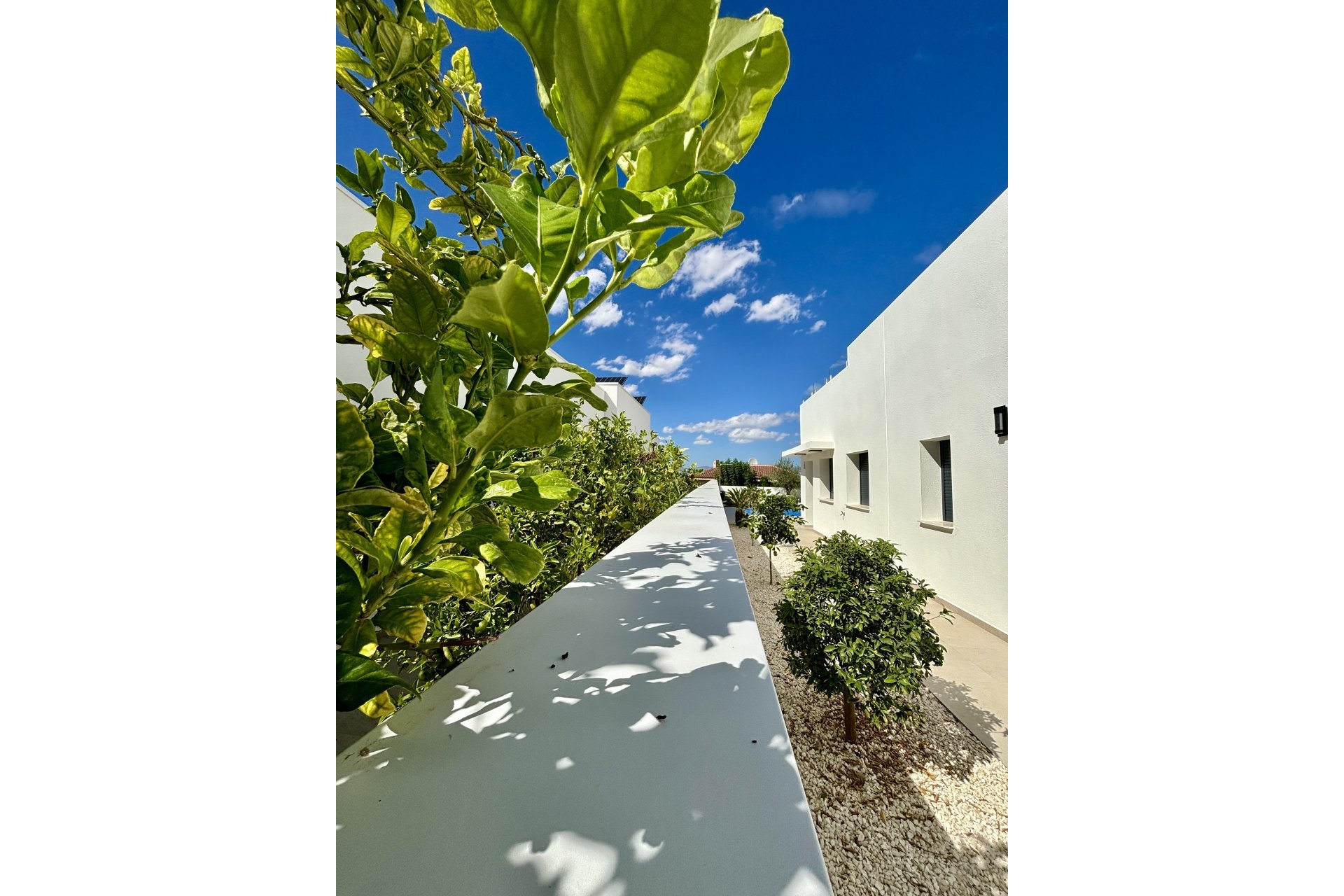 New Build - Townhouse - Benijofar