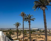 New Build - Villa - Torrevieja - Nueva Torrevieja - Aguas Nuevas