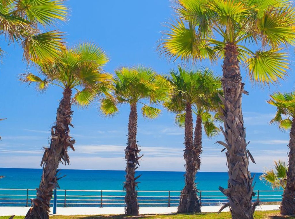 Nieuwbouw Woningen - Appartement / flat - Cabo Roig
