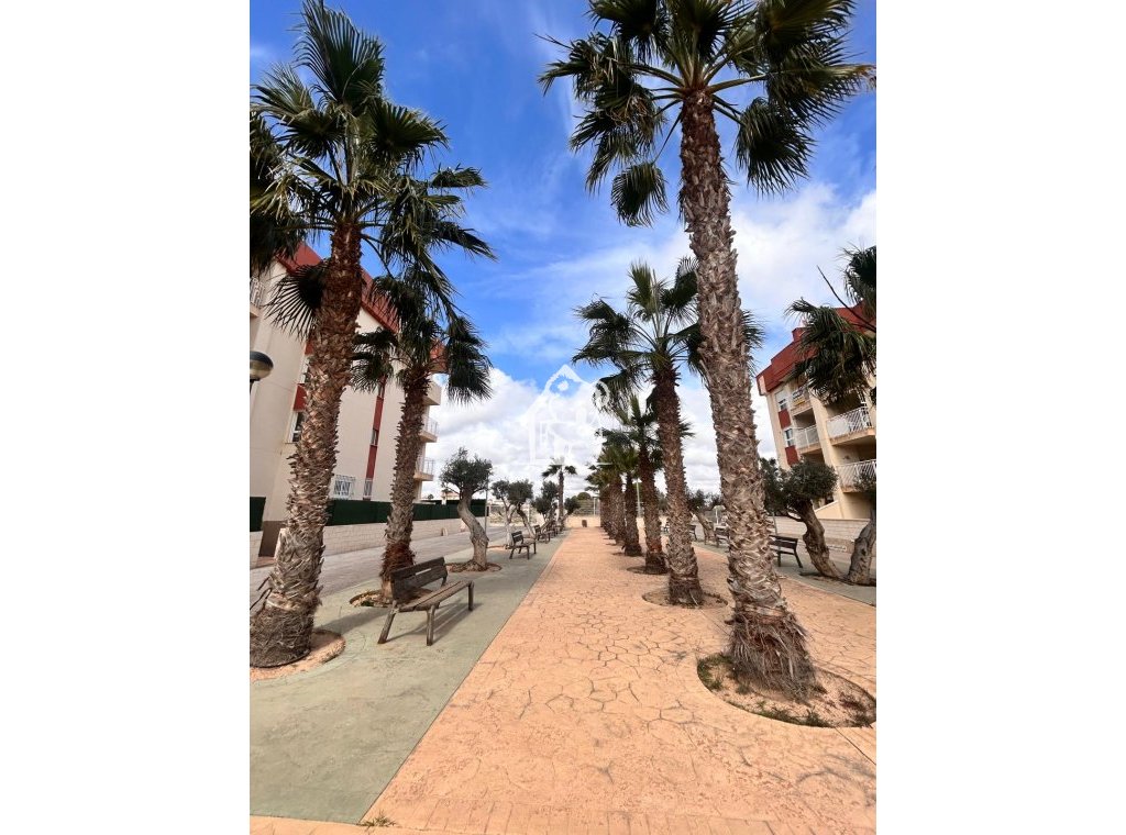 Nieuwbouw Woningen - Appartement / flat - Orihuela