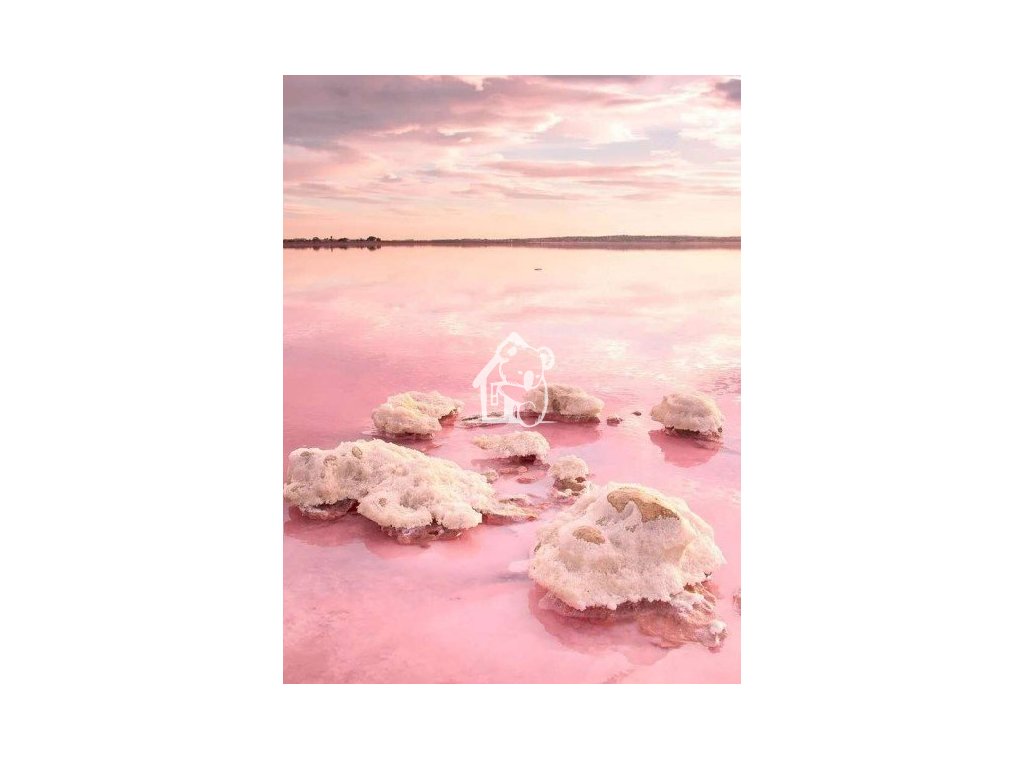 Nieuwbouw Woningen - Appartement / flat - Torrevieja