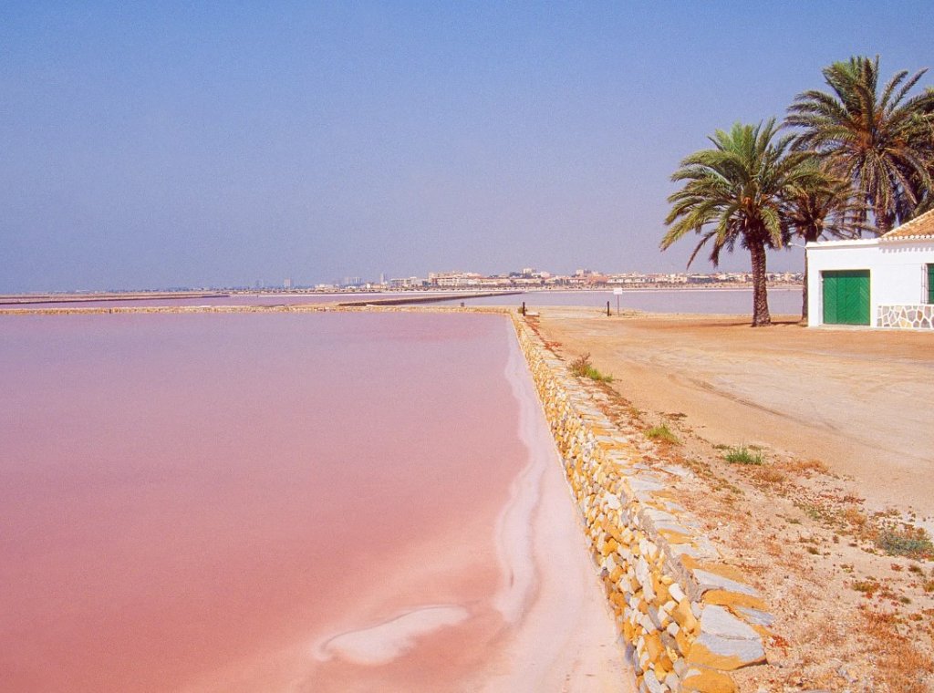 Nieuwbouw Woningen - Bungalow - San Pedro del Pinatar