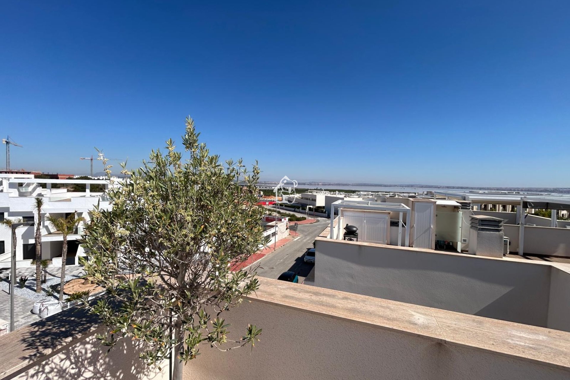 Nieuwbouw Woningen - Penthouse - Torrevieja
