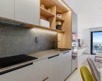 Nouvelle construction - Appartement - Guardamar del Segura
