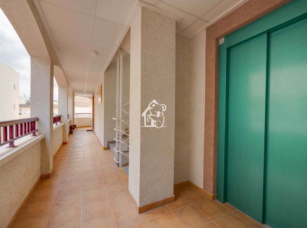 Nouvelle construction - Appartement - San Fulgencio