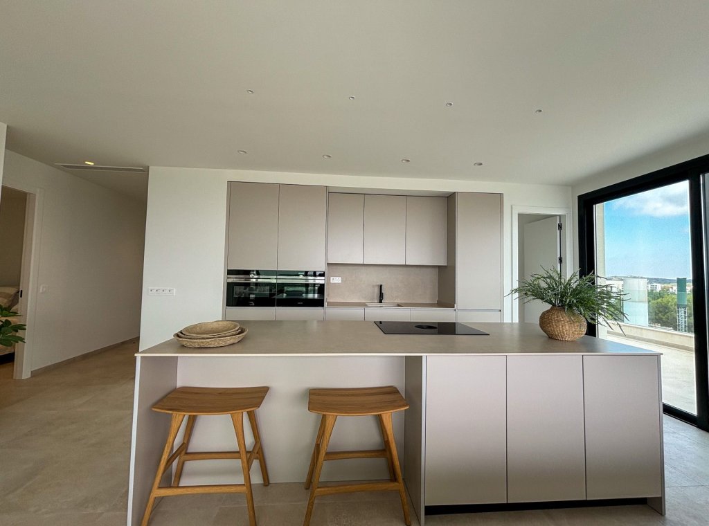 Nouvelle construction - Attique - San Miguel de Salinas