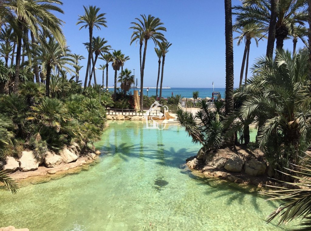 Nouvelle construction - Attique - Santa Pola