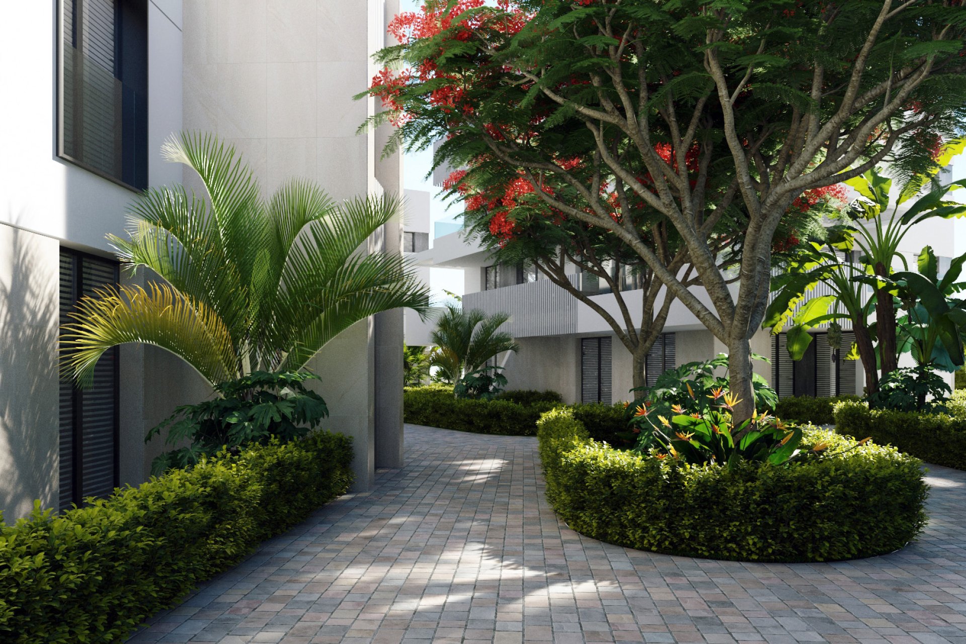 Nouvelle construction - Attique - Torre-Pacheco