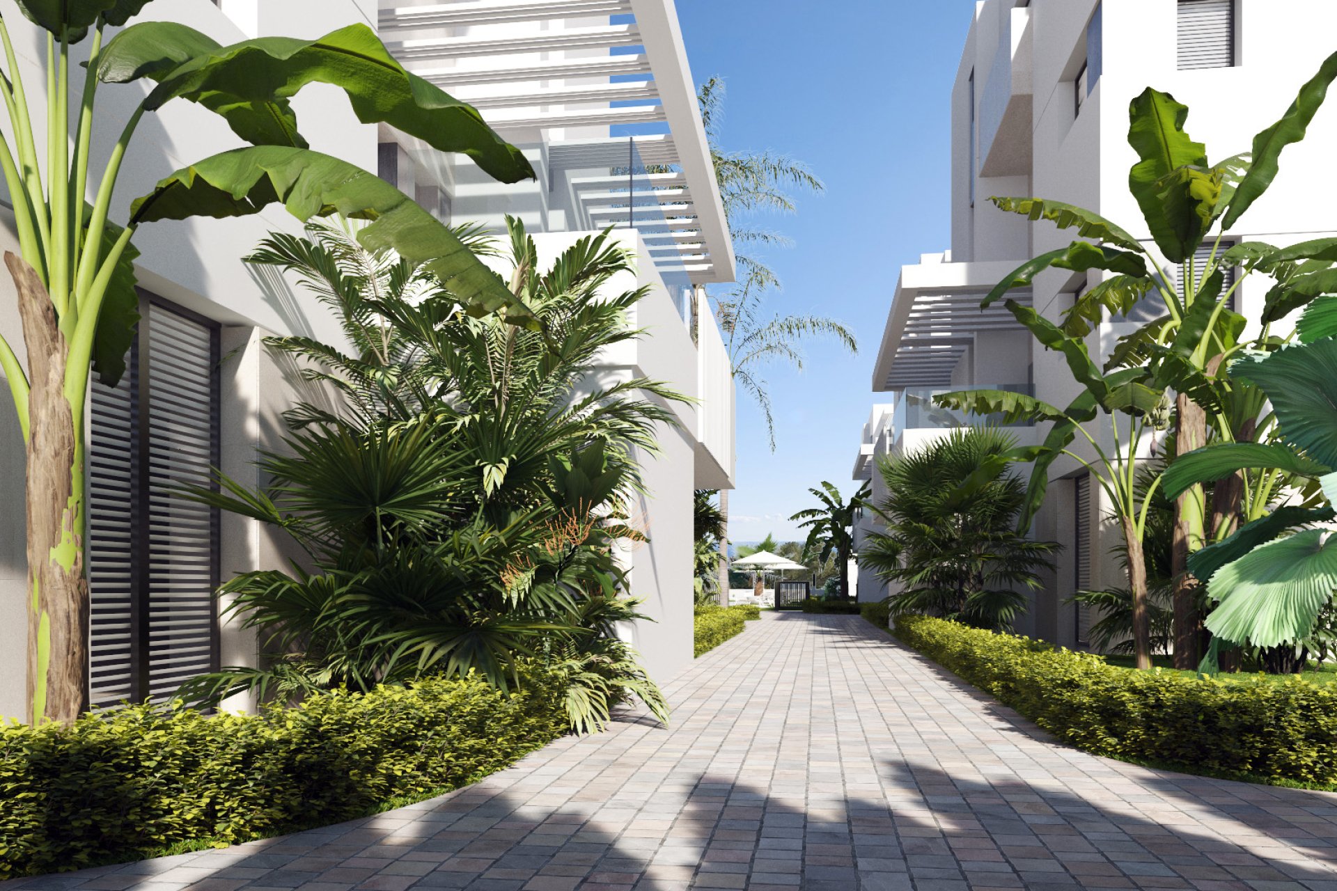 Nouvelle construction - Attique - Torre-Pacheco