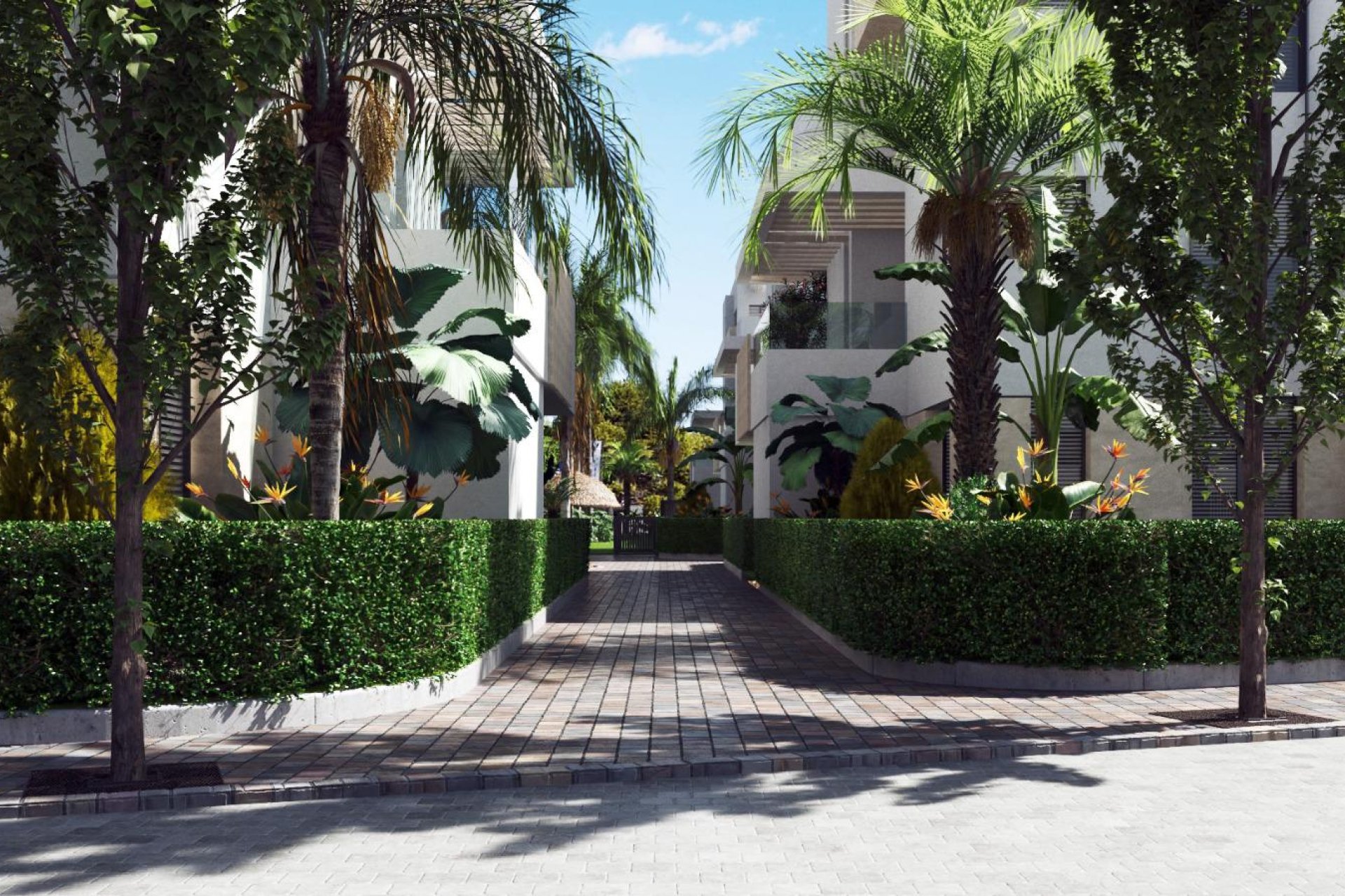 Nouvelle construction - Attique - Torre-Pacheco
