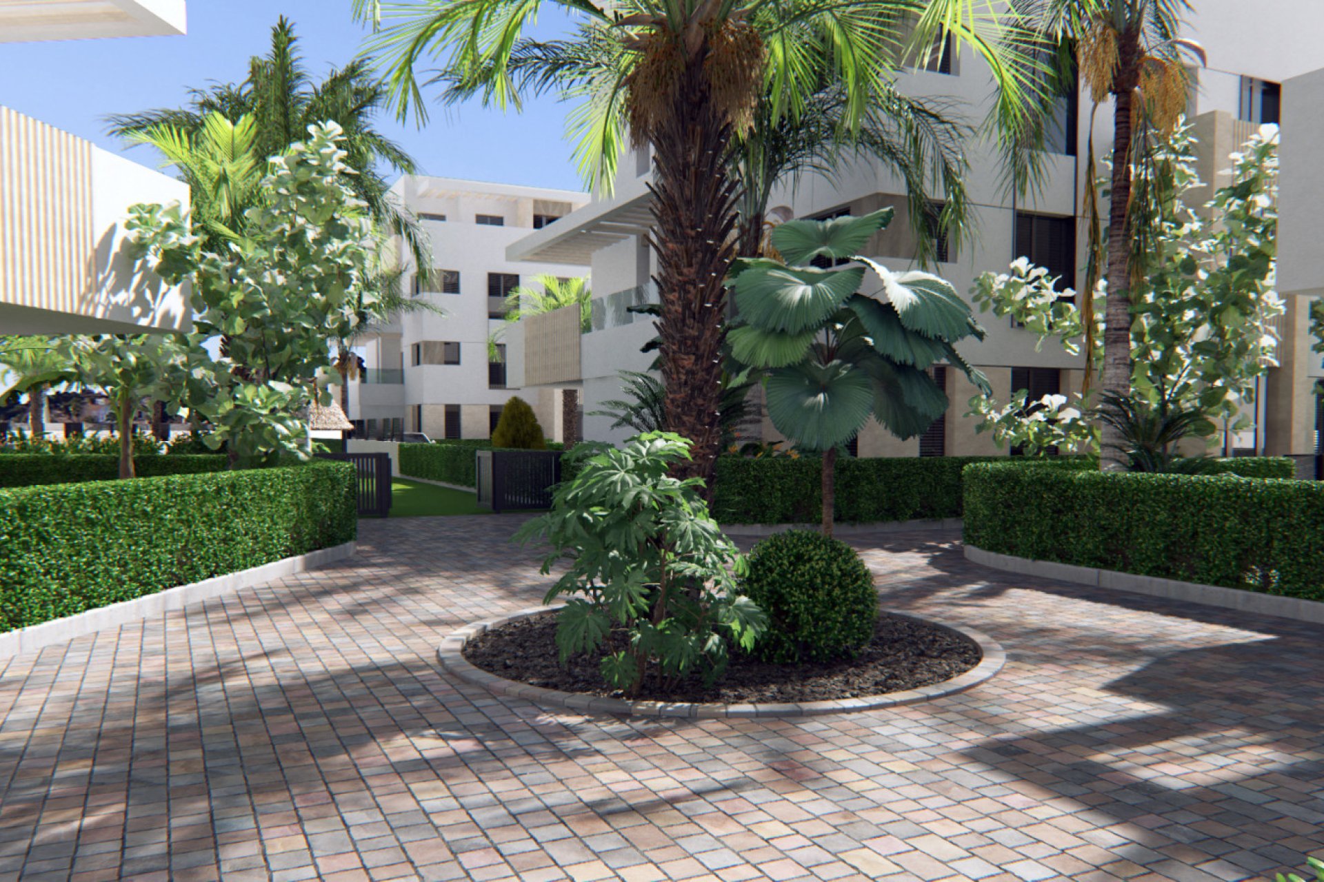 Nouvelle construction - Attique - Torre-Pacheco